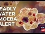 Rare Brain-Eating Amoeba